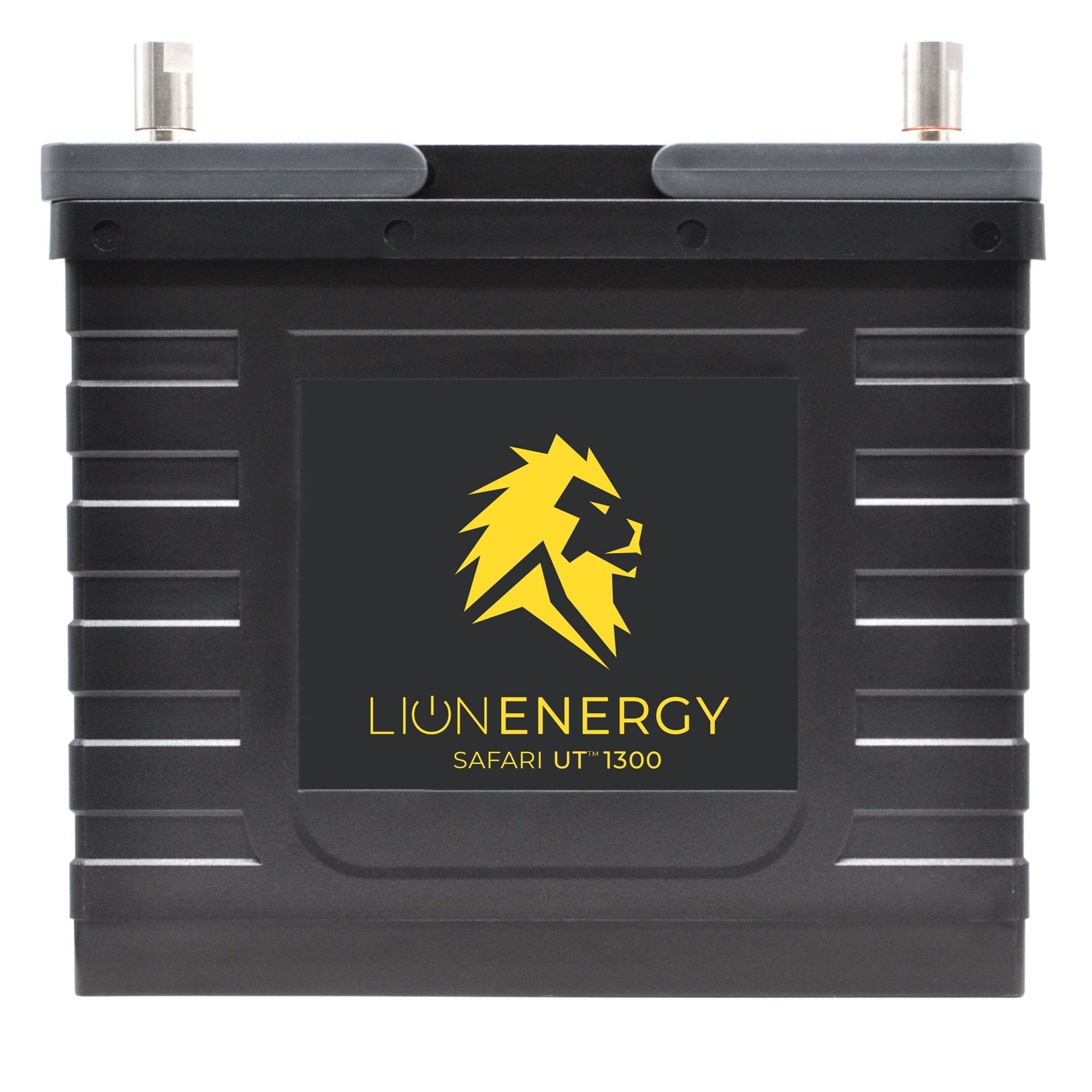 Lion Energy Safari UT 1300 150A Battery (With FREE LED Bulb String)